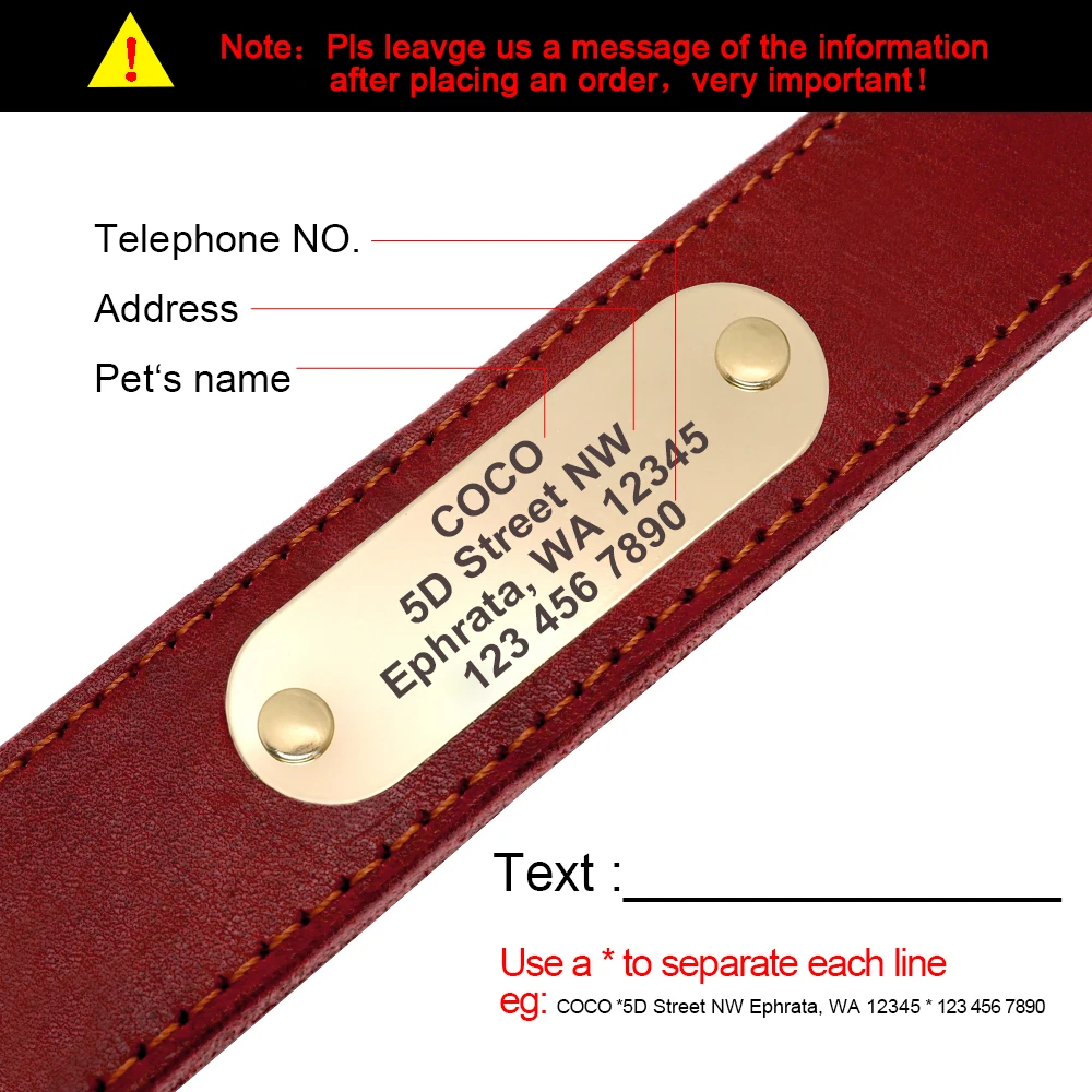 Collar de cuero con placa grabada para perro grande