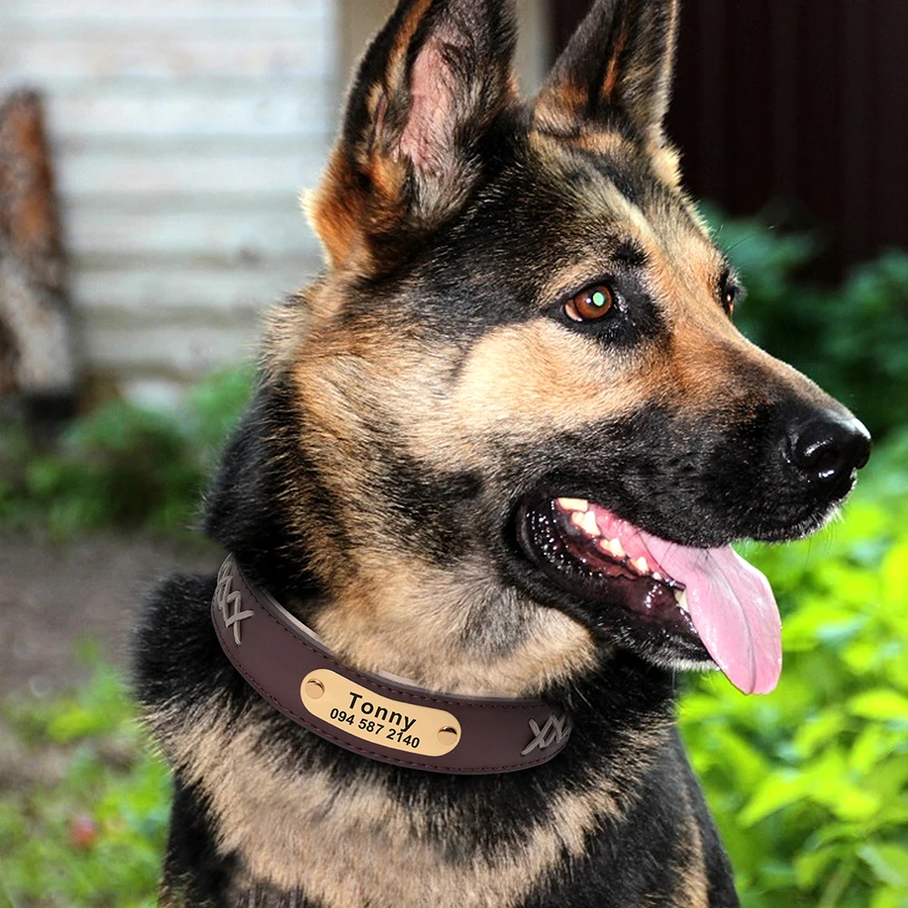 Collar personalizado de identificación para perros grandes Bulldog y Pug - imagen 2