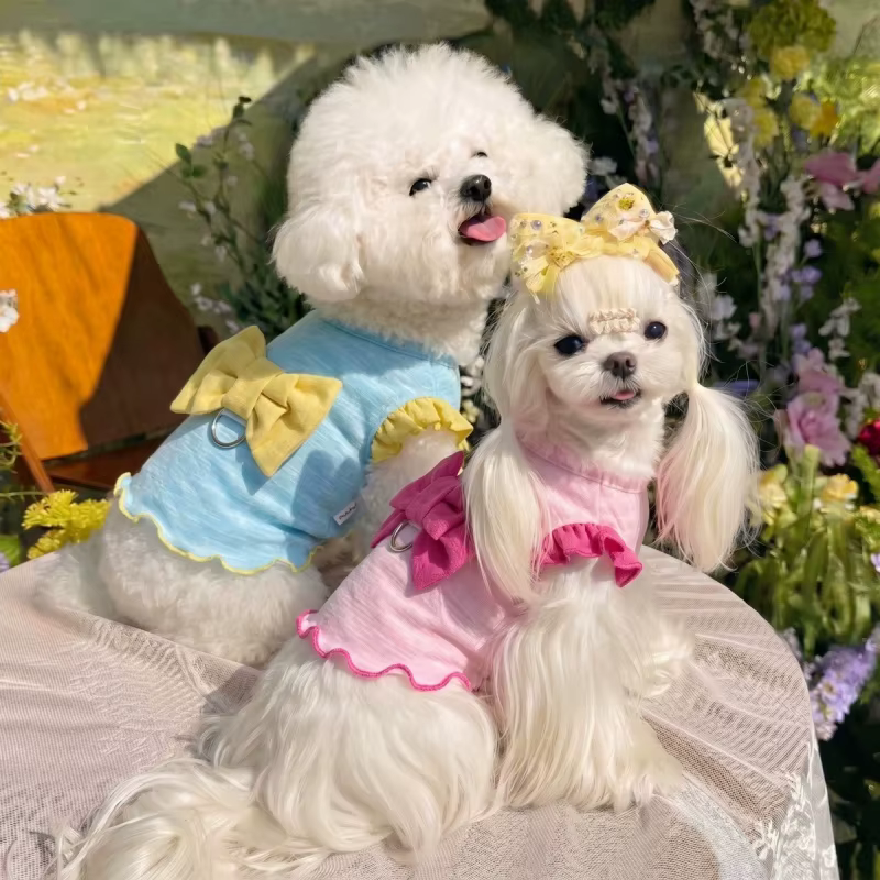 Perro pequeño con el chaleco puesto