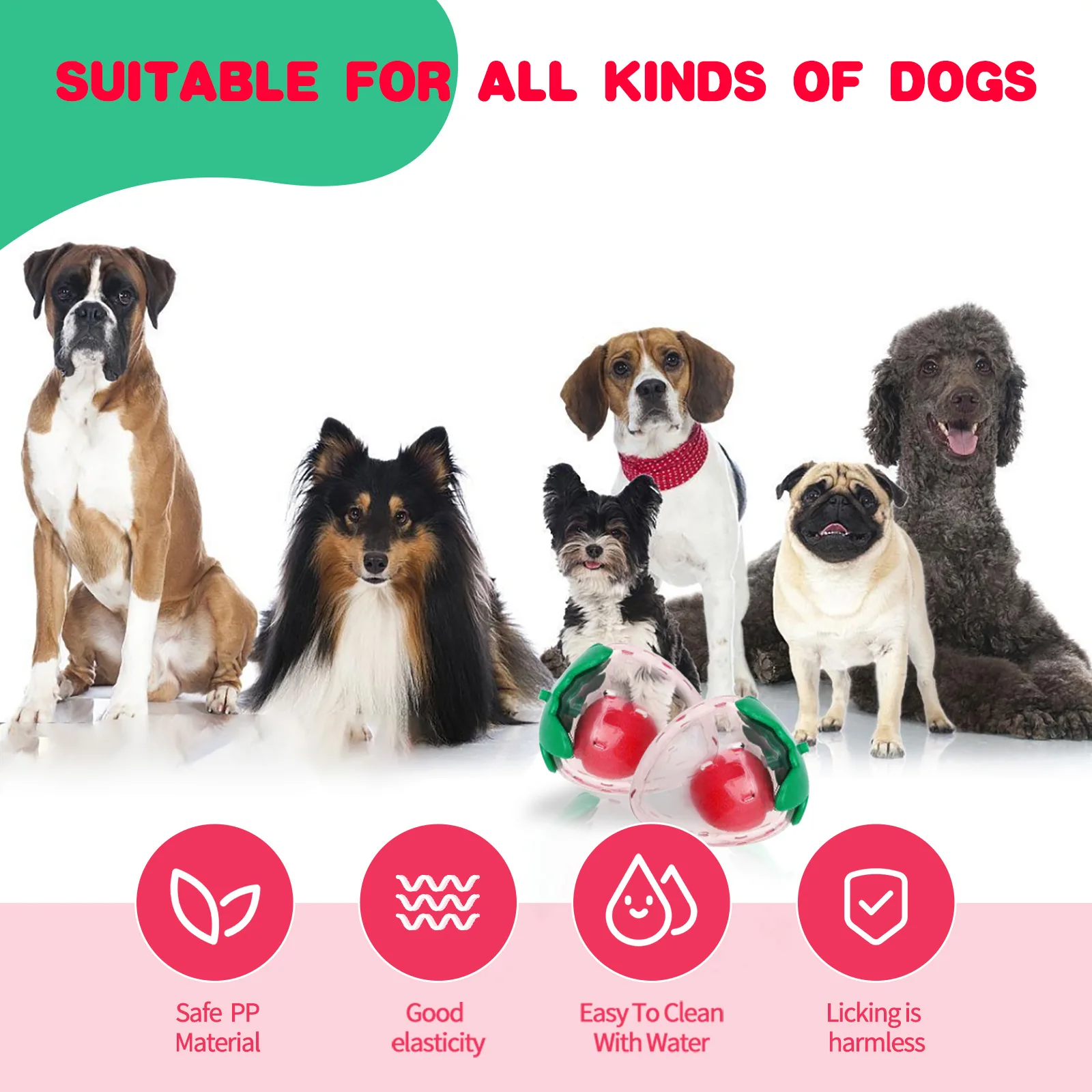 Juguete sonoro para perros en sala de estar