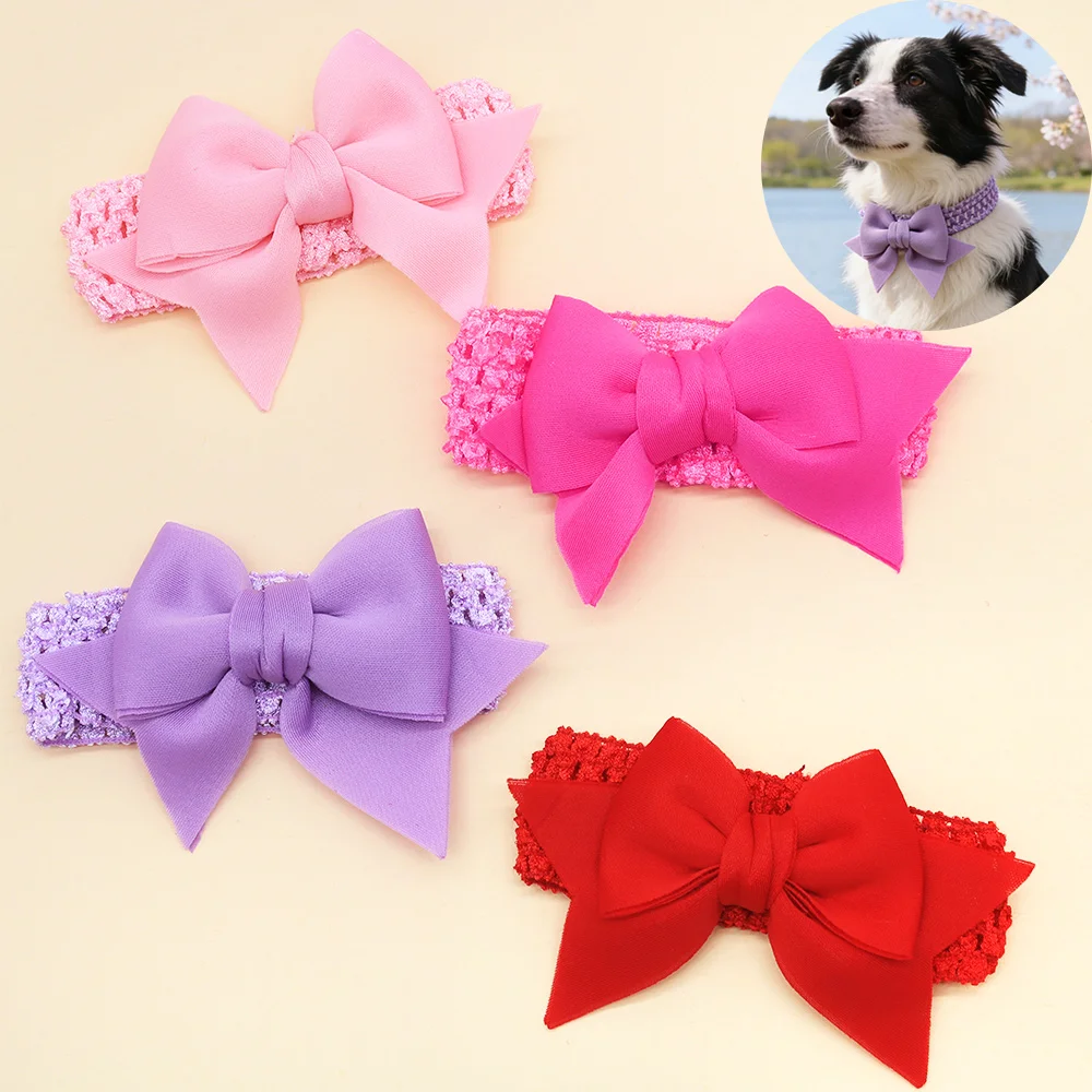 Lazos elásticos coloridos para perros