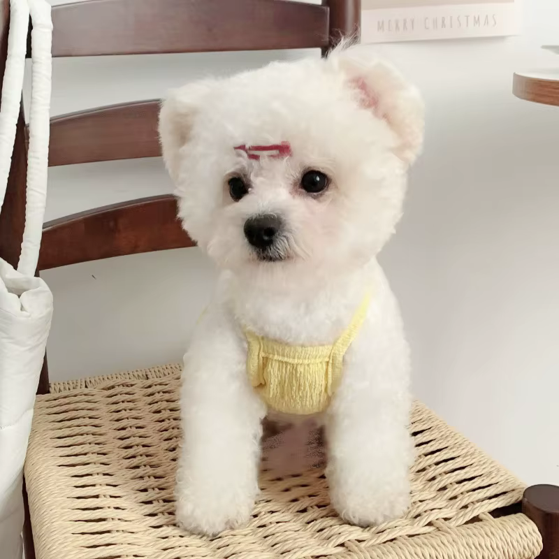 Vestido estilo princesa con lazo para perro mini y gato - imagen 3