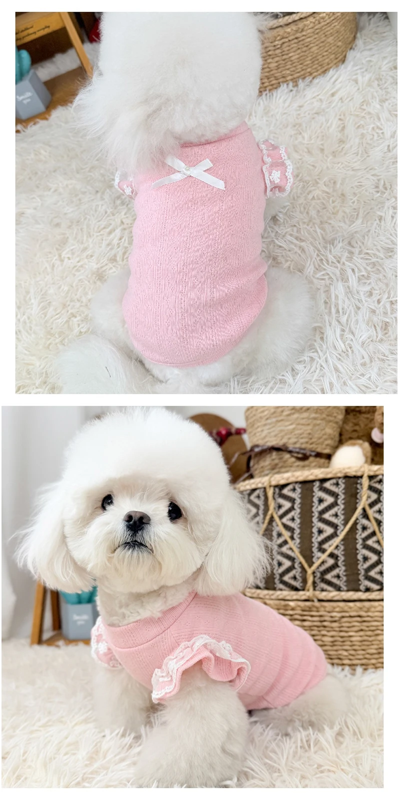 Pack de camisetas para perros, múltiples diseños y tallas disponibles para mascotas pequeñas