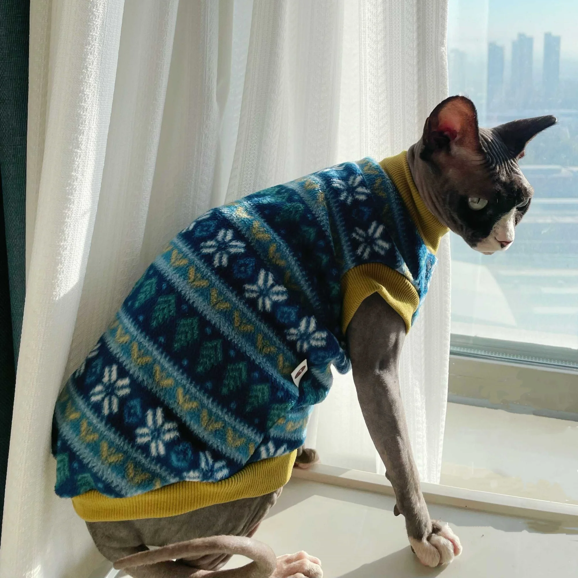 Gato jugando con la sudadera puesta