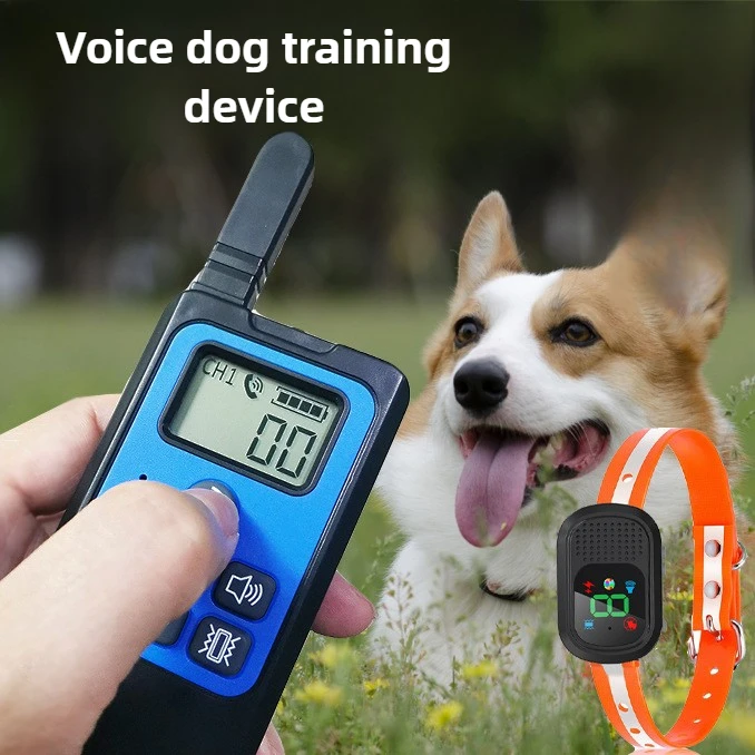 Localizador collar perro en exteriores
