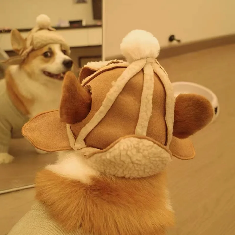 Perro bulldog francés con sombrero de invierno