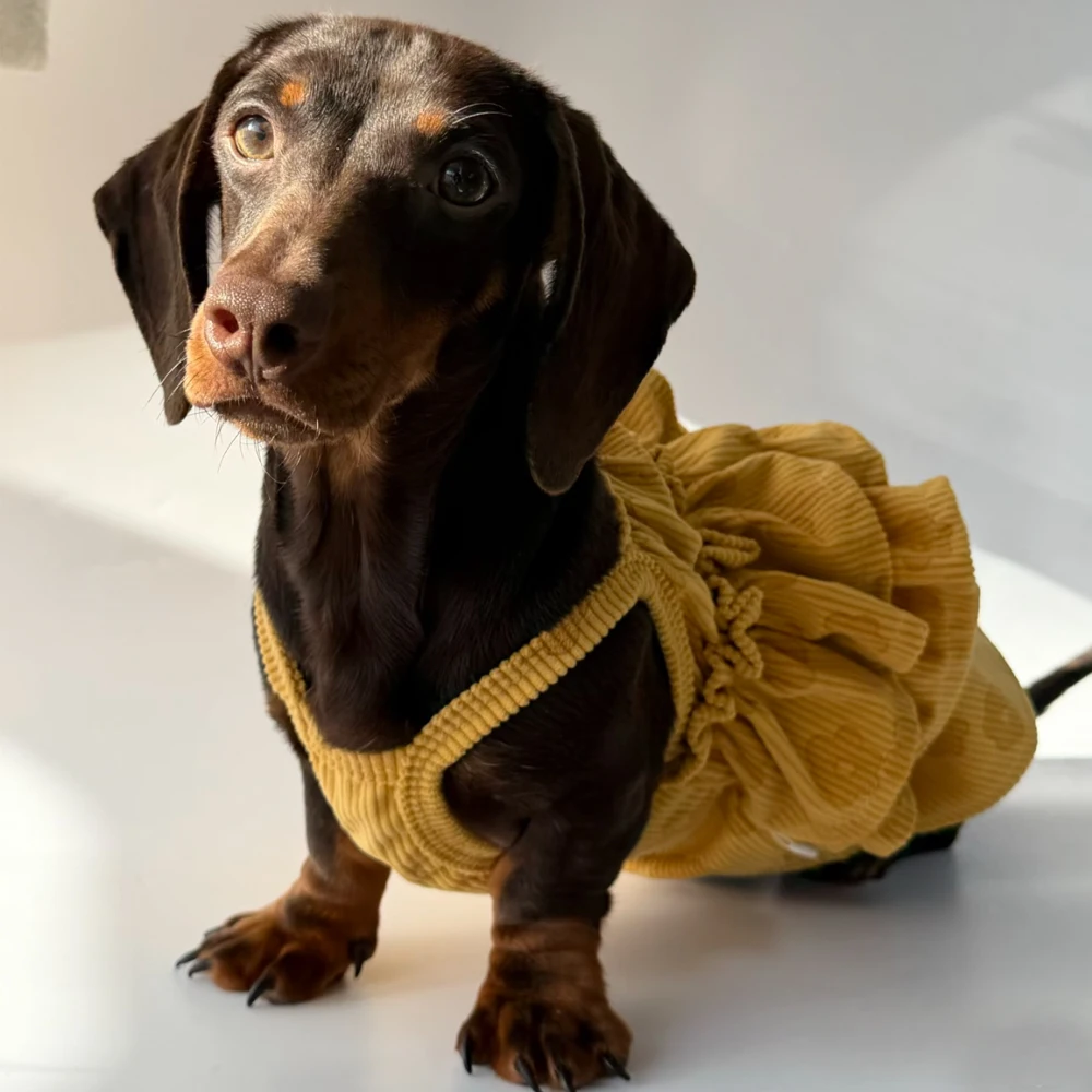 Vestido elástico transpirable para perro pequeño, vista lateral