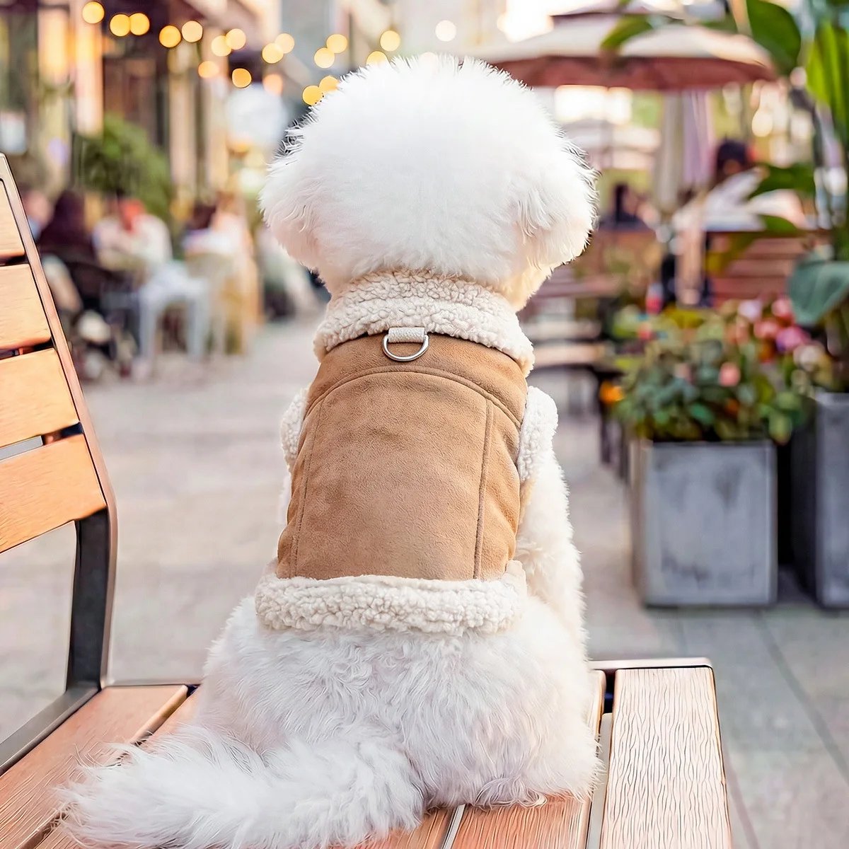 Abrigo Cálido con Capucha de Felpa para Perros Pequeños - imagen 3