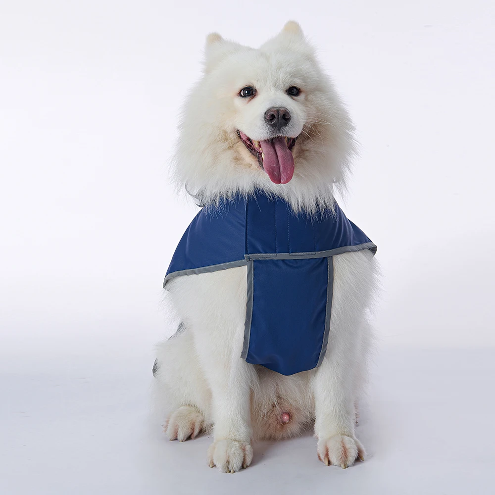 Impermeable azul para perros visto desde arriba