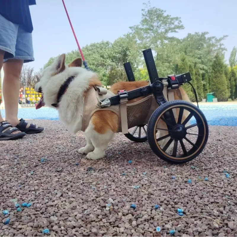 Silla de ruedas para perros medianos y grandes, carrito movilidad - imagen 2