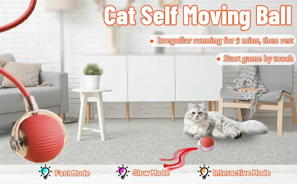 Juguete en interiores para gatos
