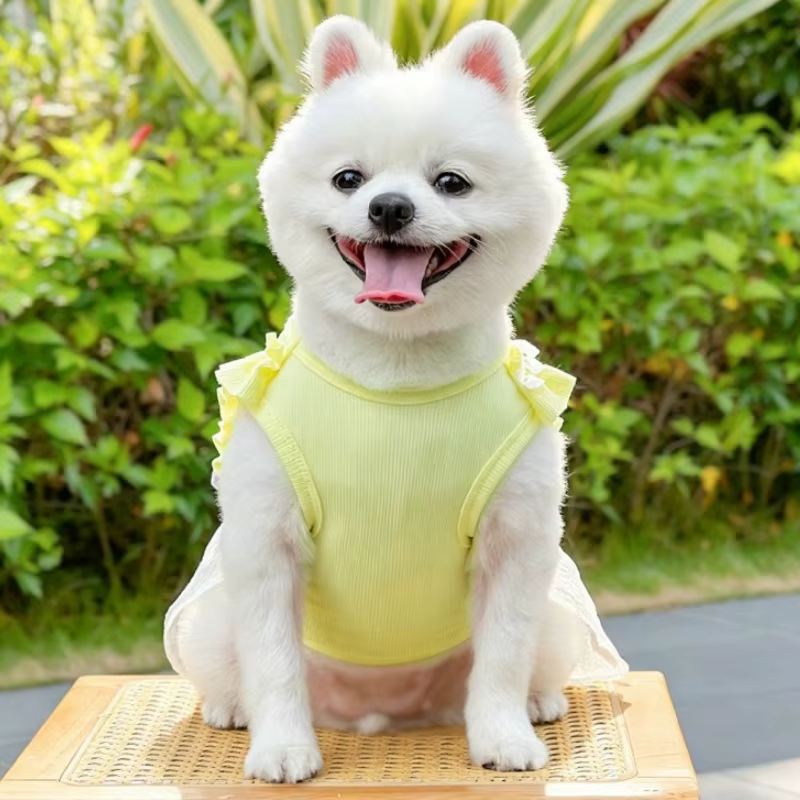 Vestido de lunares con volantes para perro y gato – Estilo verano
