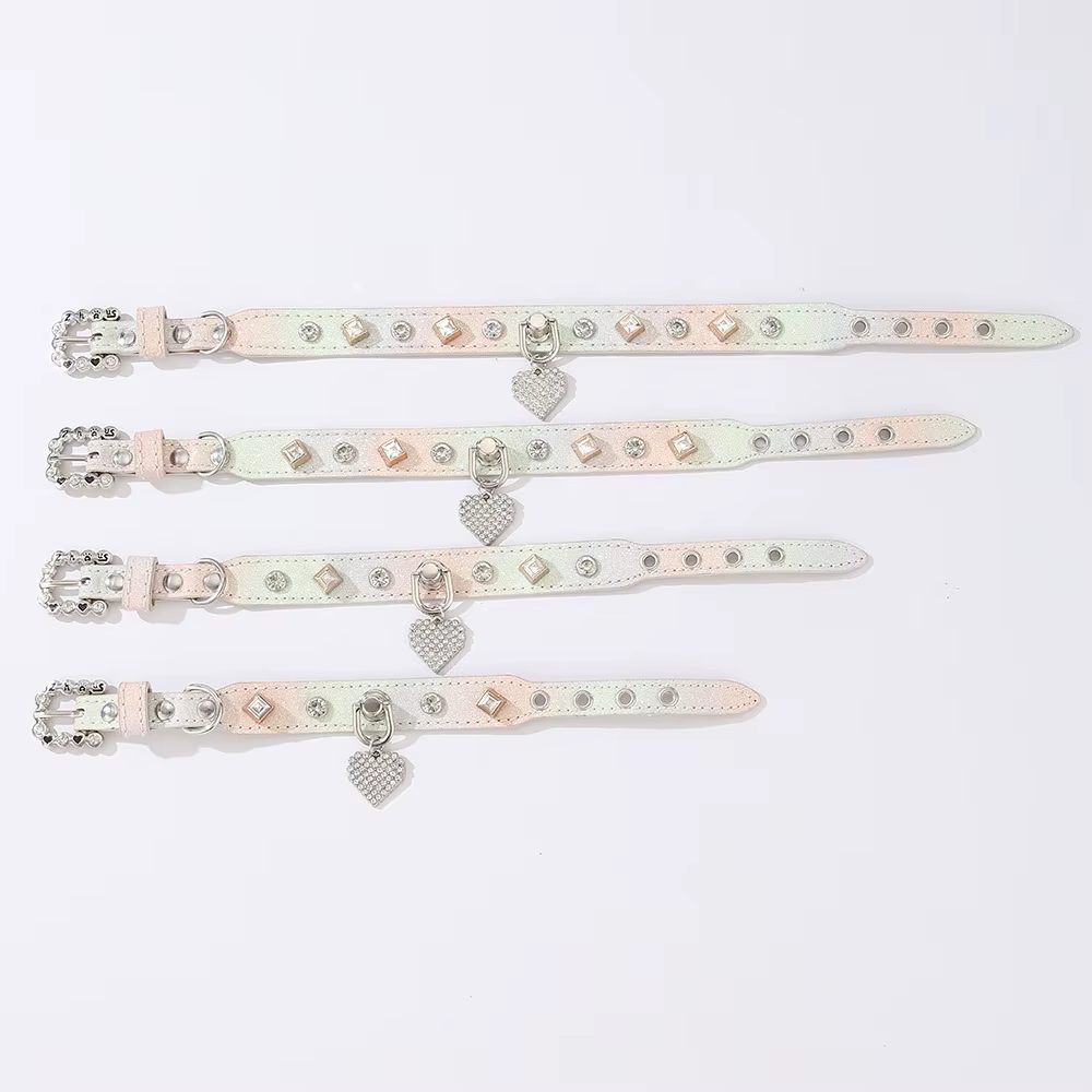 Collar de cuero con pedrería brillante en el cuello