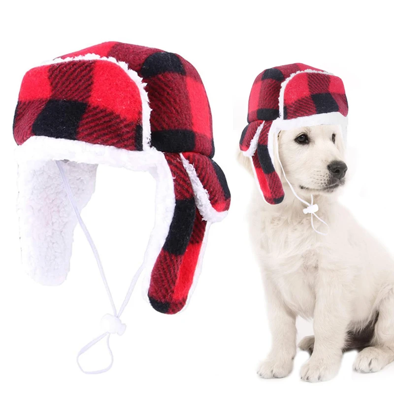 Perro con gorro Benepaw en sesión de fotos navideña