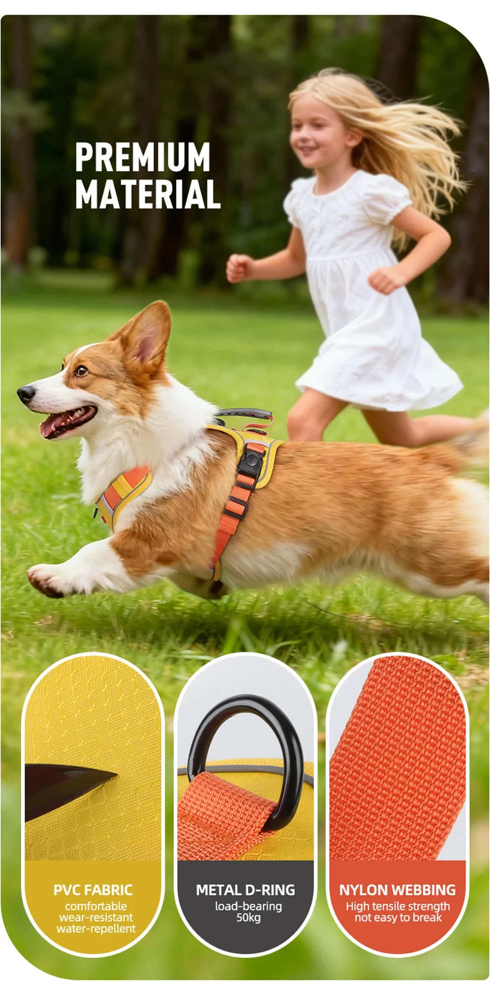 Accesorios para mascotas XLeiPet