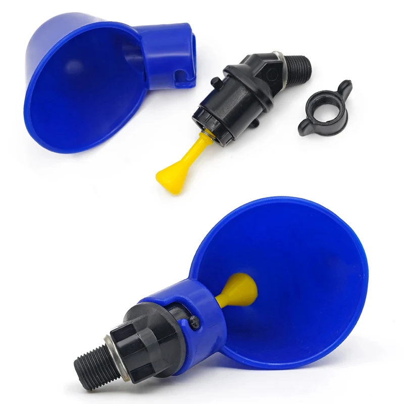 Detalle de colores y tapa