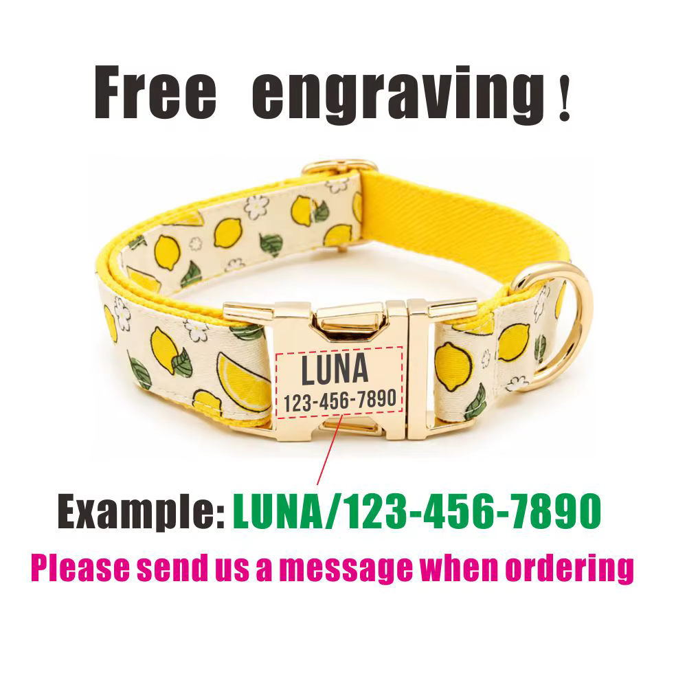 Collar personalizado para perro con estampado de fresa, limón y sandía - imagen 5