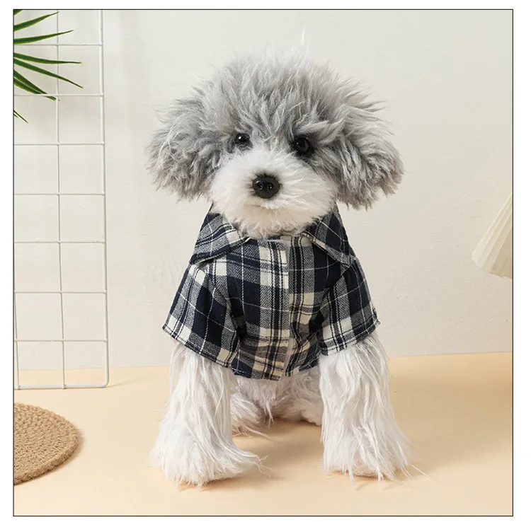 Perro mostrando la camiseta