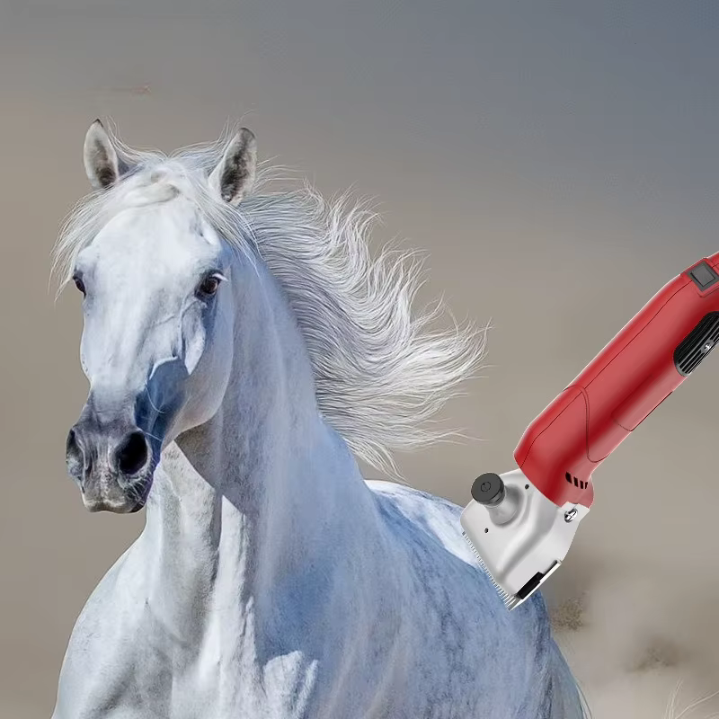 Cortadora de pelo profesional 150W para perros y mascotas - imagen 4