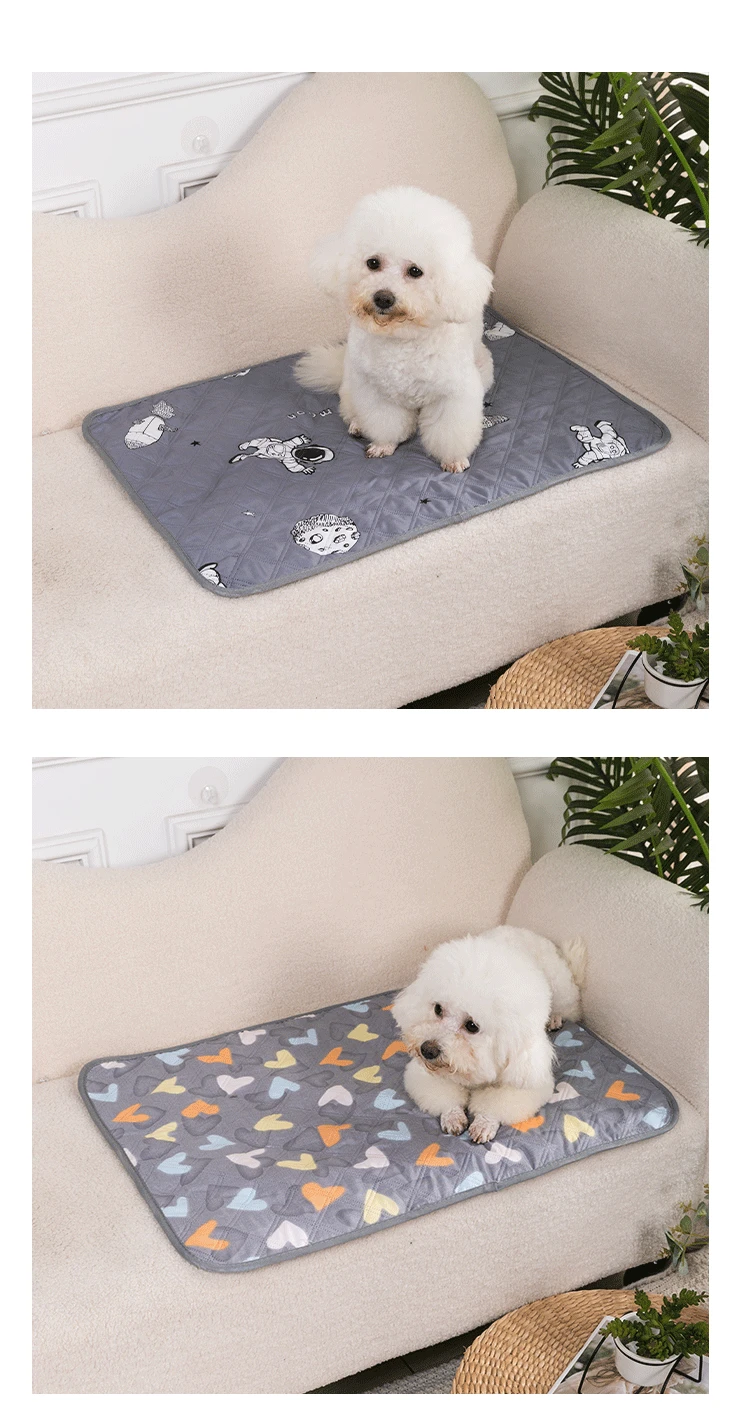Producto colocado sobre una cama para gato