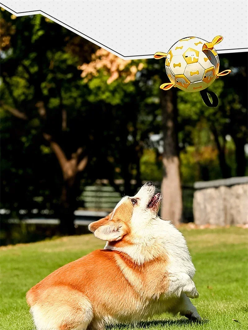 Balón de fútbol con estampado de perro