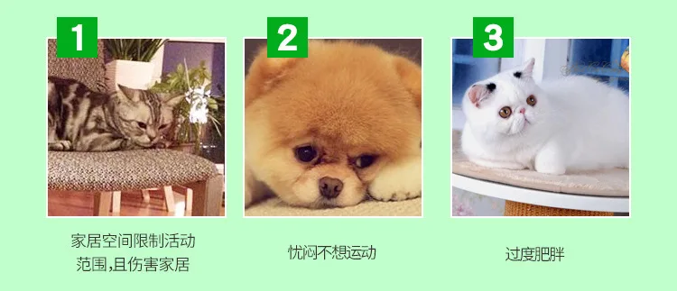 Detalles de los 9 agujeros y la campana