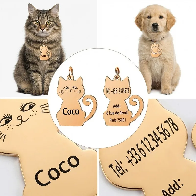 Collar personalizado con placa de identificación para gato y perro - imagen 4