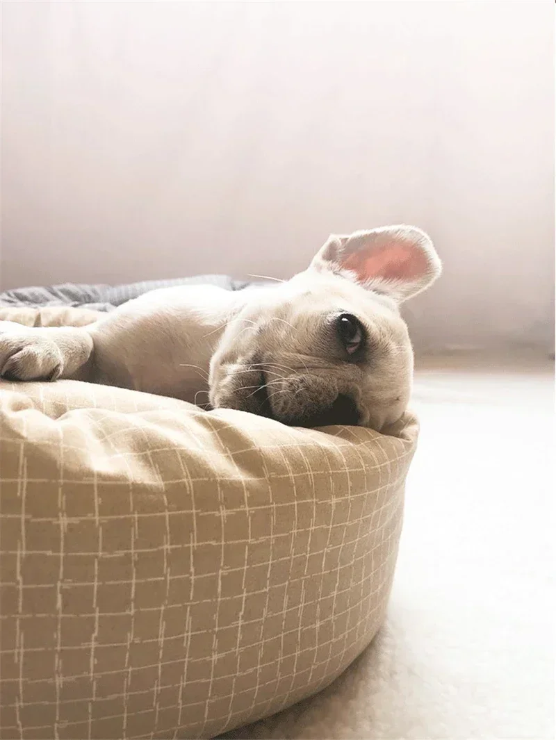 Cama redonda para mascotas 3