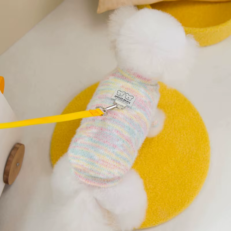Jersey de punto arcoíris para perros y gatos - imagen 5