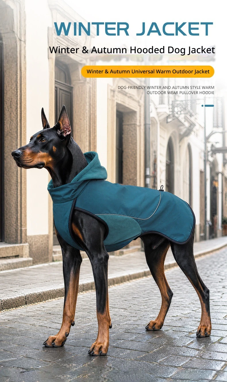 Detalle de la chaqueta para perro