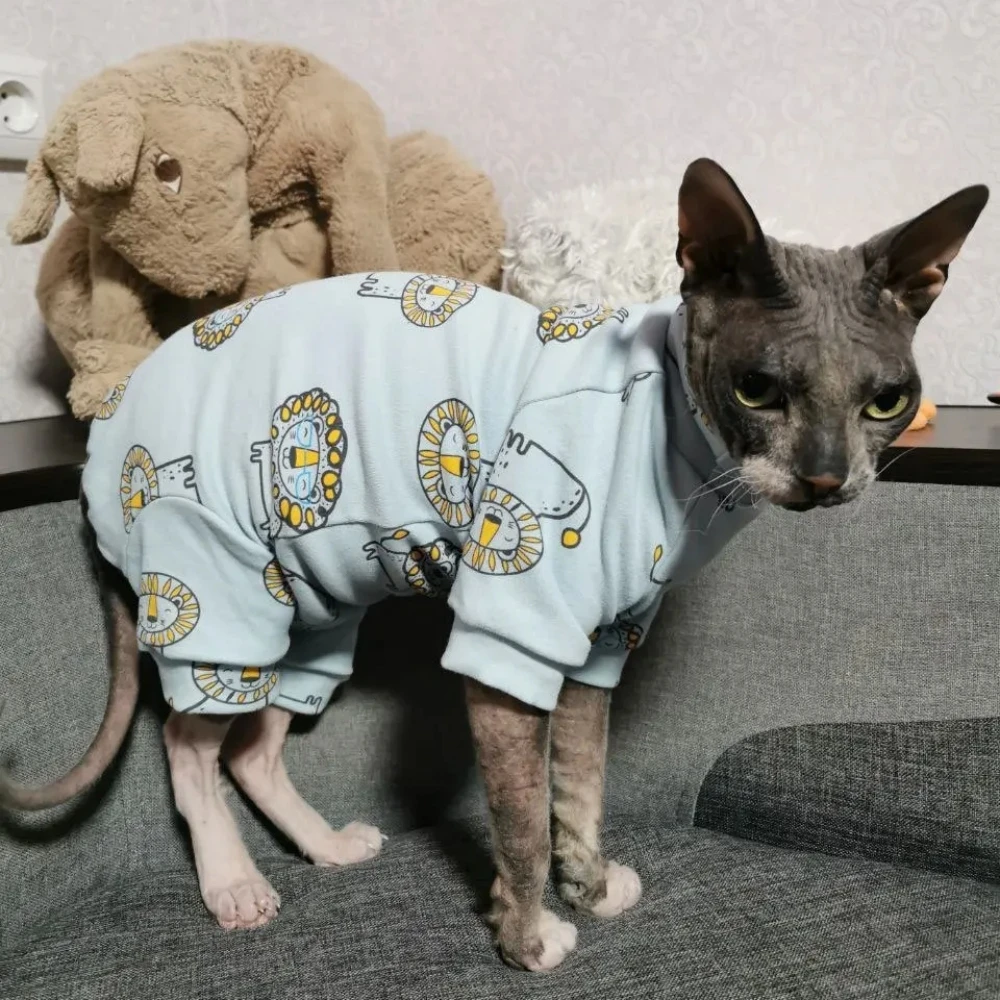 Gato Sphynx usando el abrigo azul suave