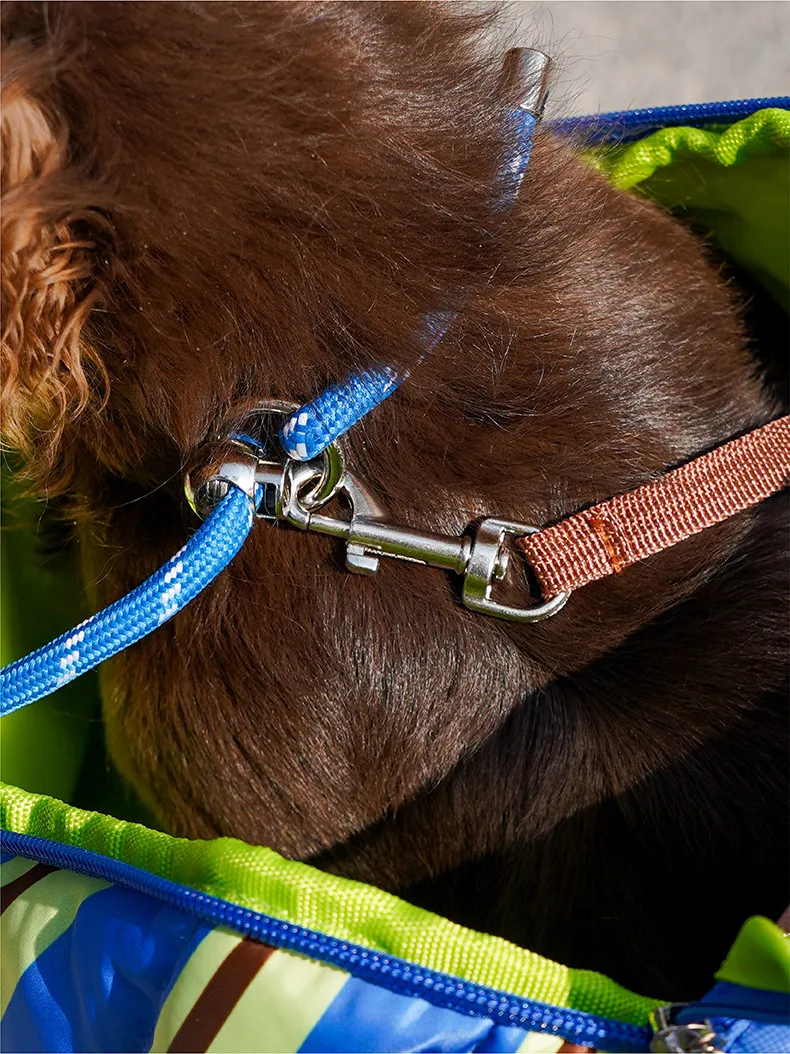 Modelo usando la bolsa bandolera mientras camina con su perro