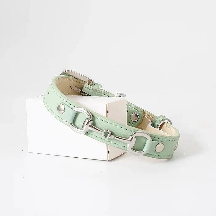 Detalle del cierre y material del collar para perros