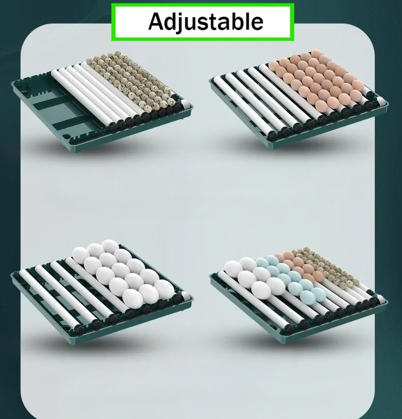 Interior de la incubadora con bandeja de huevos