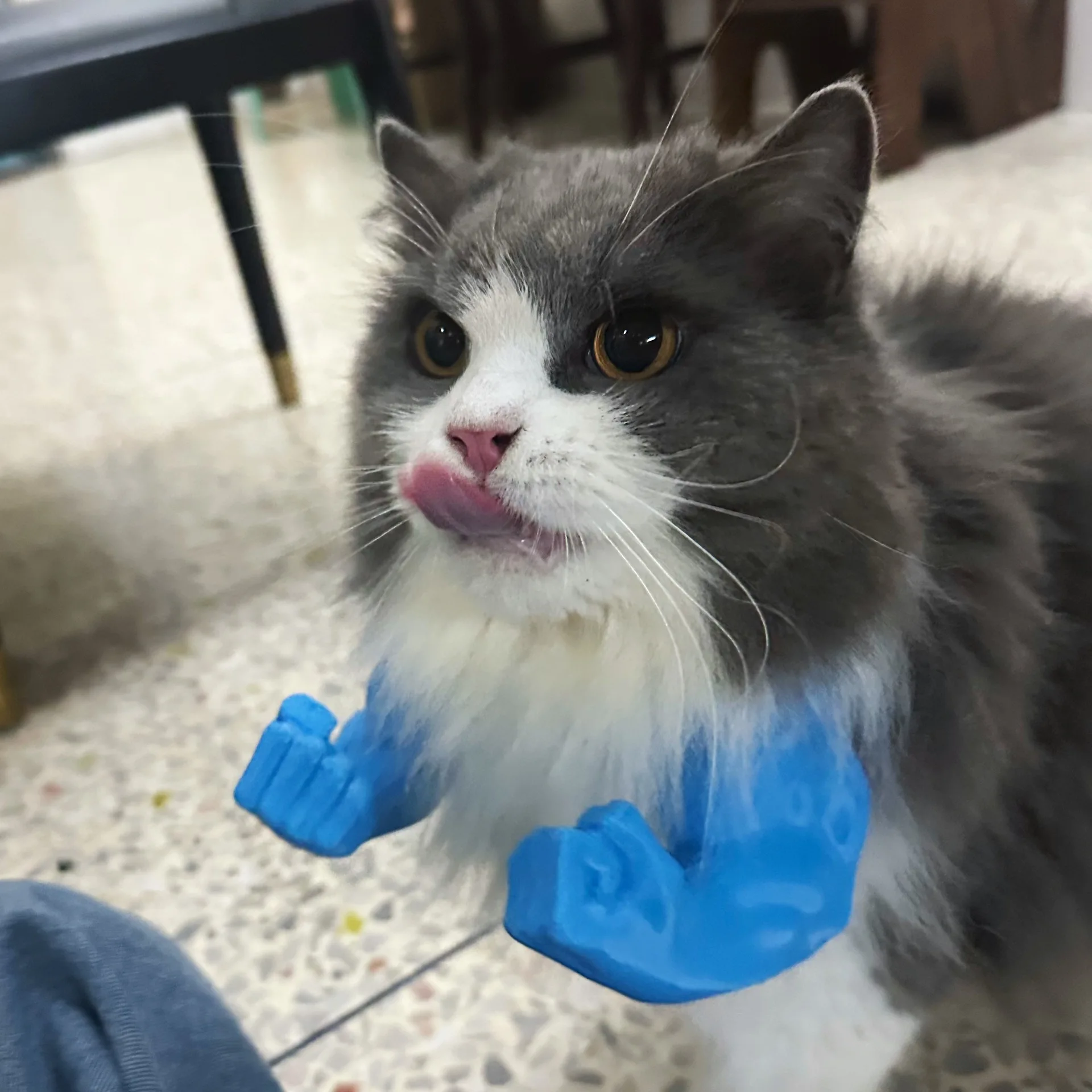 Mantenimiento básico