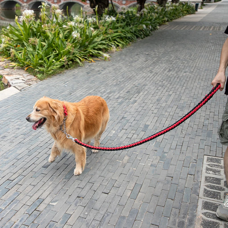 Correa resistente para perros con amortiguador de resorte de nailon - imagen 4