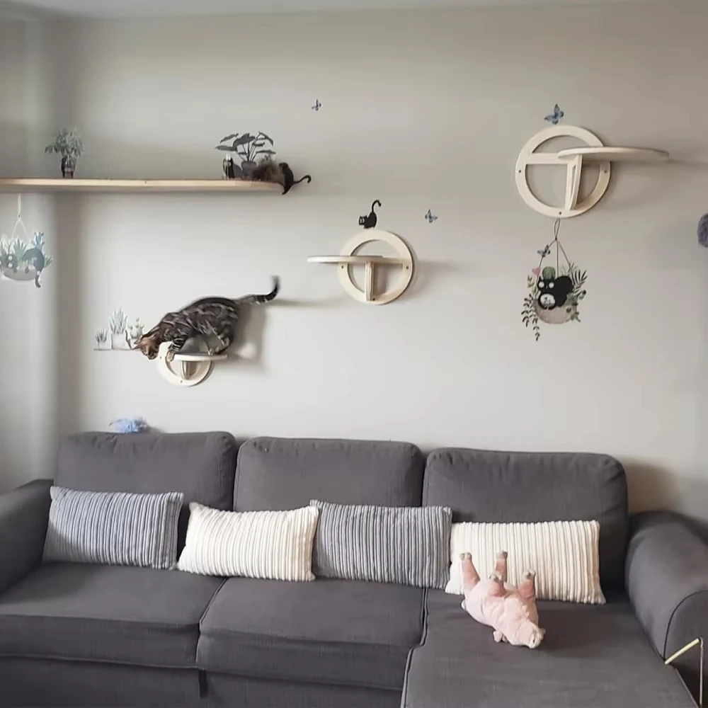 Conjunto de estantes circulares para gatos en interior