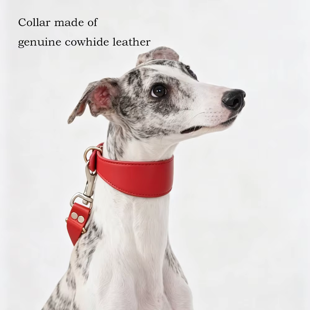 Collar de cuero rojo ajustable para perros medianos y grandes - imagen 4