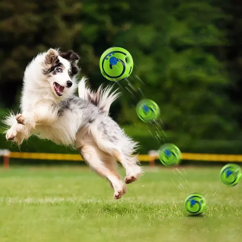 Juguete resistente al desgaste para perros