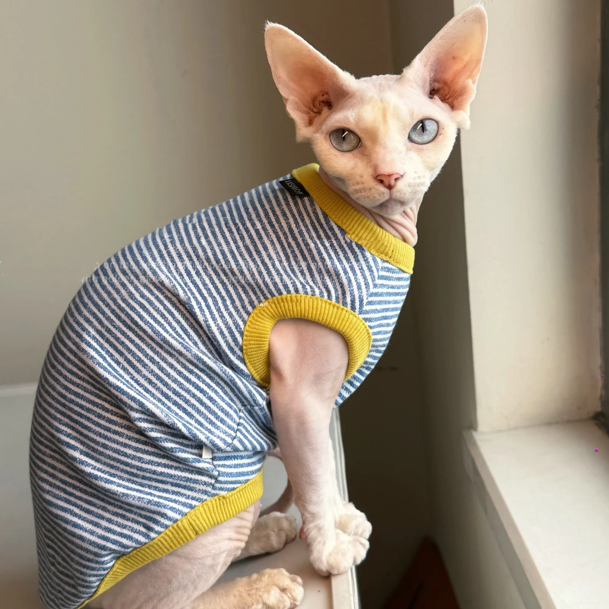 Chaleco suave azul amarillo