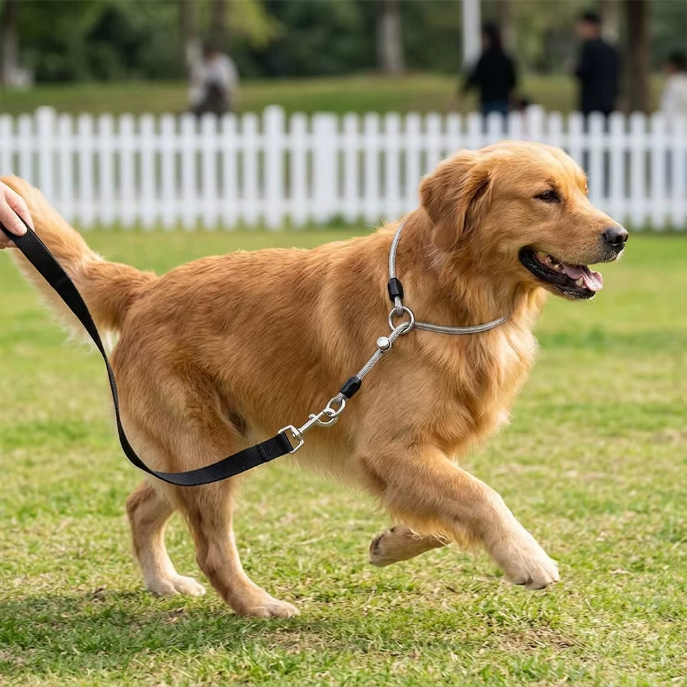 Collar antimordeduras de acero inoxidable para perros - imagen 2