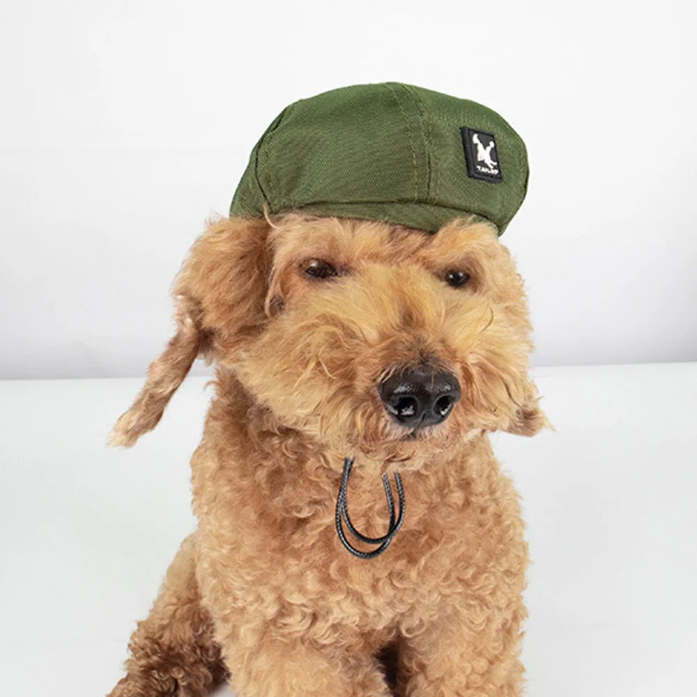 Variedad de colores de boina para mascotas