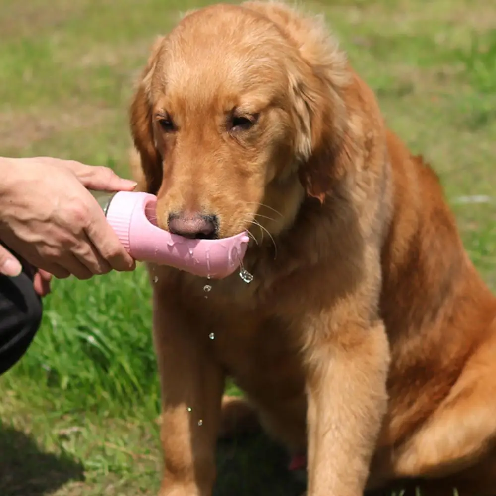 Botella de agua portátil para perros y gatos, con recipiente de comida - imagen 3