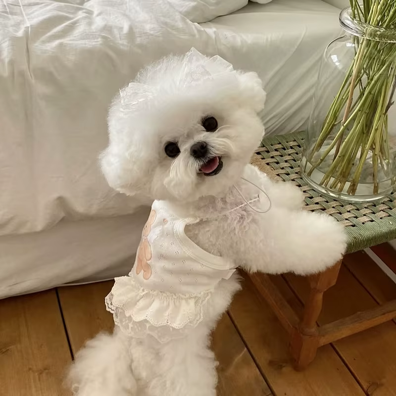 Vestido de Verano para Perros Pequeños – Falda de Encaje Blanco - imagen 3