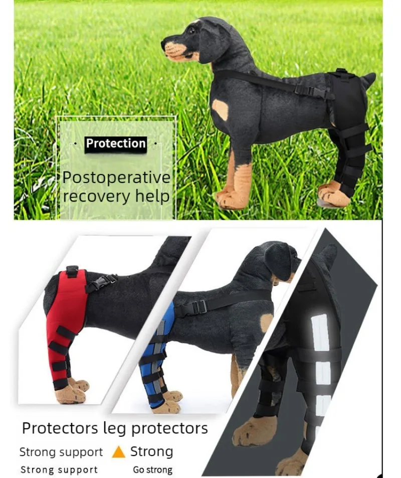 Soporte para estabilizar la pata trasera