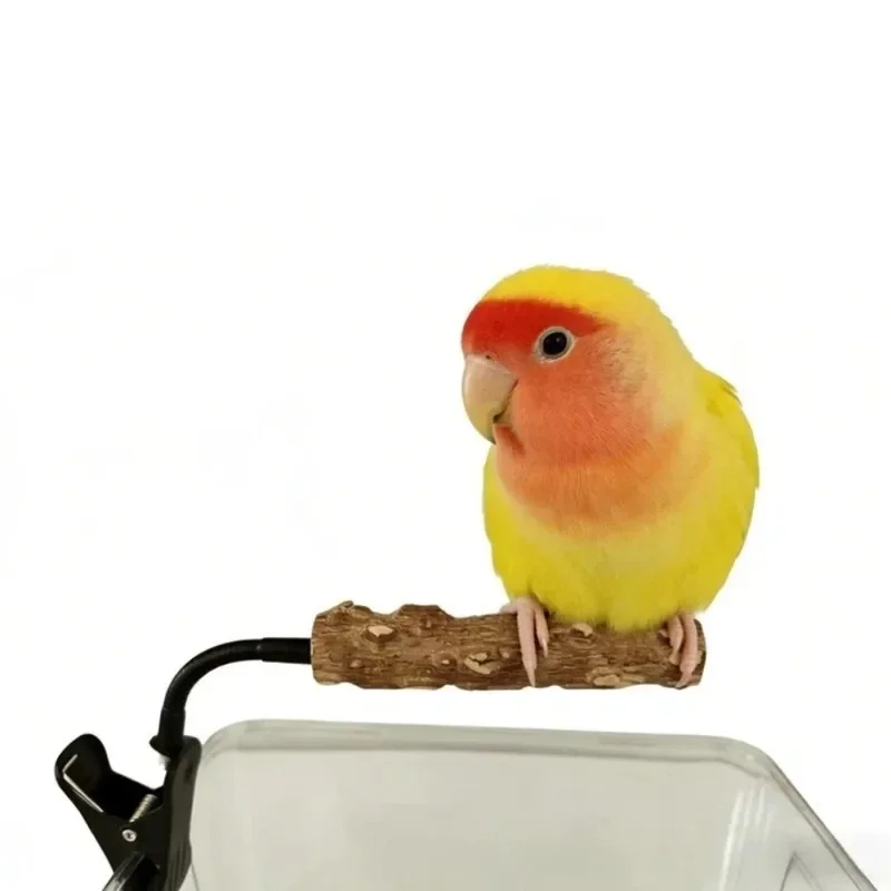 Pinza para uñas de loros – Ajustable y flexible para recorte y entrenamiento - imagen 4
