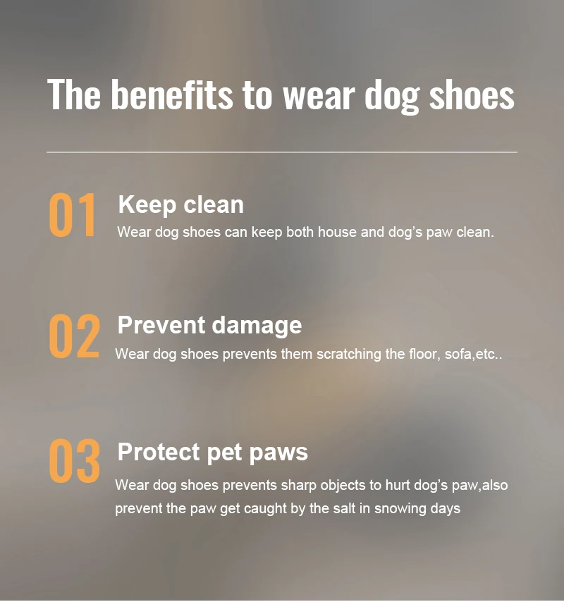 Zapatos ecológicos para perros