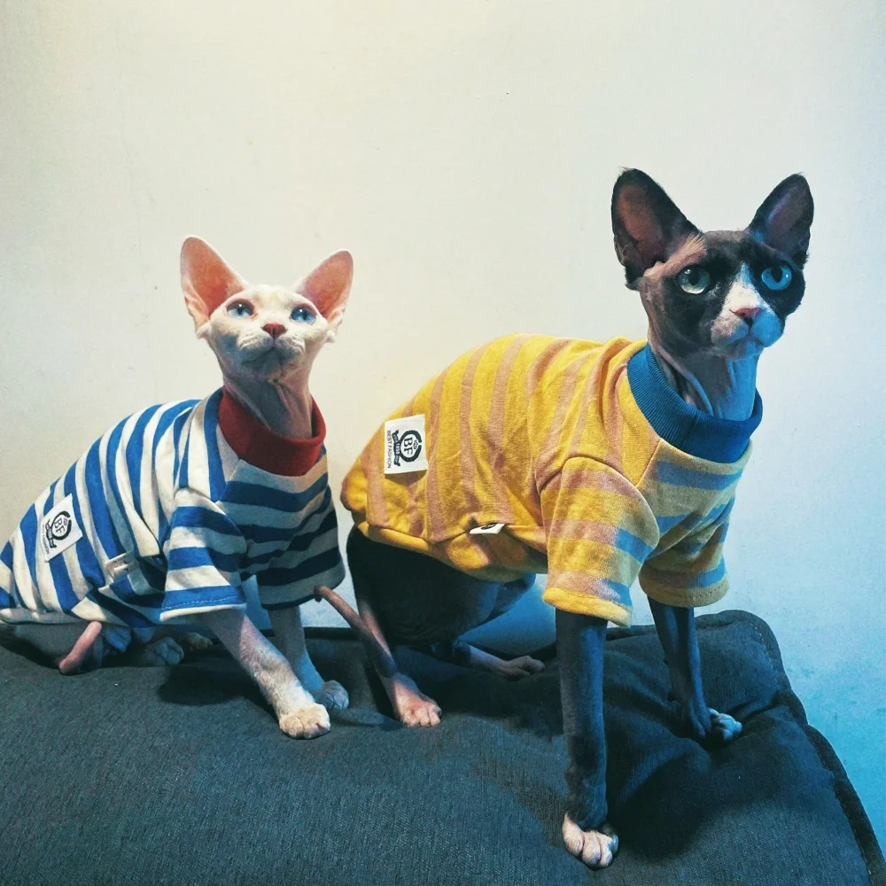 Colores disponibles amarillo y azul