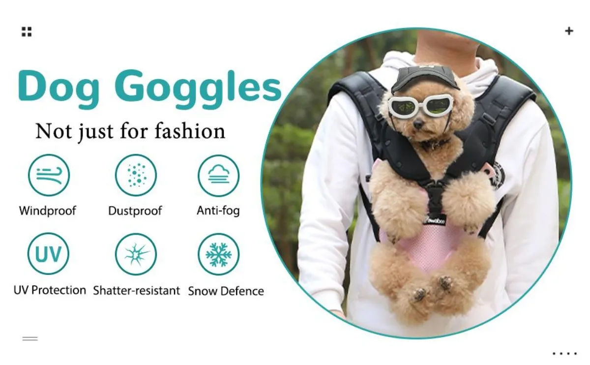 Gafas ATUBAN en mascota exterior