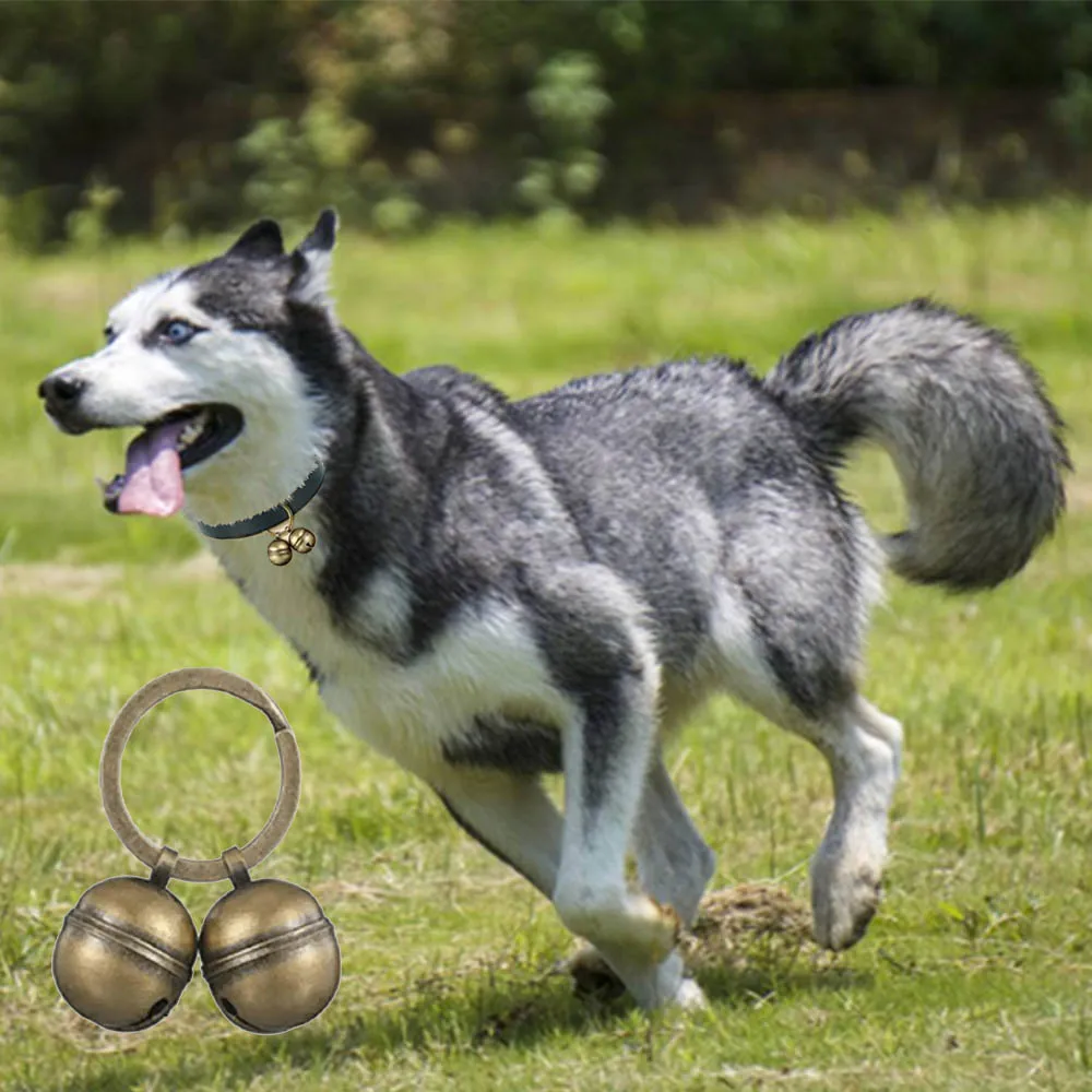 Campana de latón pulido para collar de mascota